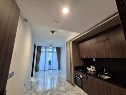 Van Holland (D10), Condominium #510279111